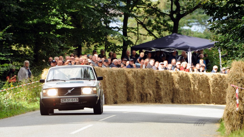 Heino Mejer i en kontrolleret udskridning lige inden mål i Munkebjerg Hill Climb 2018
(Foto: rallypics.dk – Viggo Johansen)